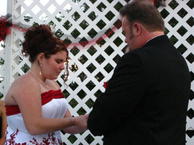 IMG_7403.JPG (235073 bytes)
