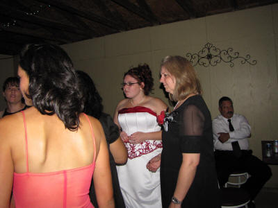 IMG_1255.JPG (172910 bytes)