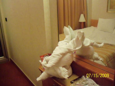 100_0338.JPG (1427494 bytes)