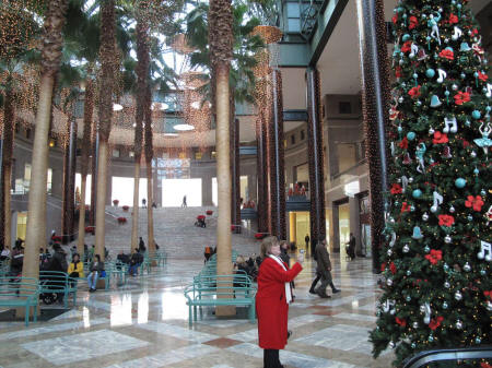 IMG_3209.JPG (270082 bytes)