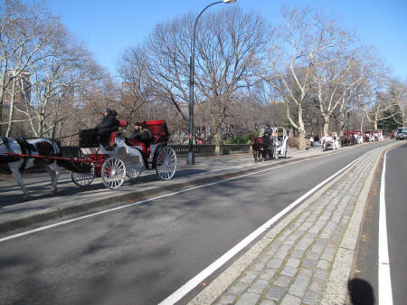 IMG_3307.JPG (237678 bytes)